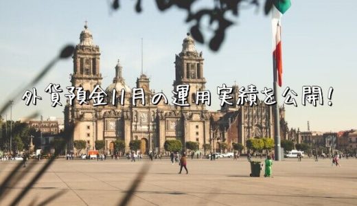 【2022年11月運用実績】外貨預金(スワップポイント)【メキシコペソ】